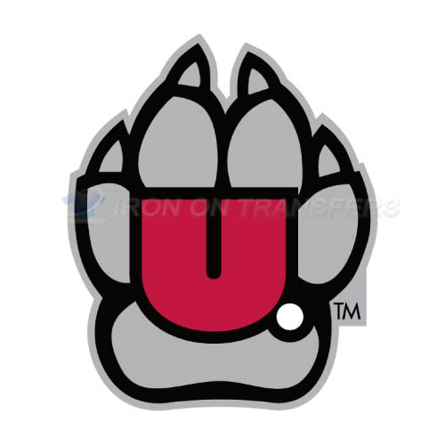 South Dakota Coyotes Iron-on Stickers (Heat Transfers)NO.6215